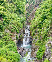 ͽ����һ��Σ�յ��˶����ҵ�ͽ�������Ѿ���������