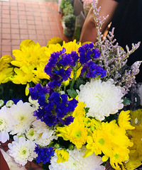 �Ҿԣ���ã�Ư�����������