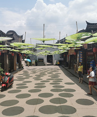 һΣ乫԰򡢿տˣͯ԰ʳ