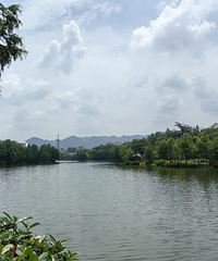 ������--�ɽ