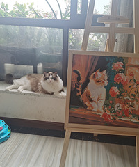 һ���˵ļ��ڣ�ʰ��ѧ��ʱ���İ���