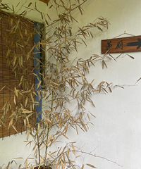 ֵ��2ˢ�ı���ض���