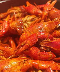 �ܽ�������˵˵��ȥ��ɳ&����������Щɶ��