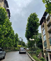 ����ϰˮ���������Ȩ����ͼ۳���