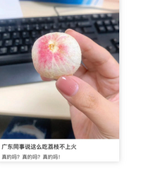 ���������˵�������֦���㶫��ȴ˵���Ǻ��Ʊ����˵�