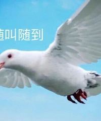 ������ֵ���򡿼�һ��Ʒ����49����ţ��ţ��ȫ֬24��49