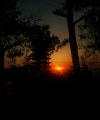 ҹ������ɽ