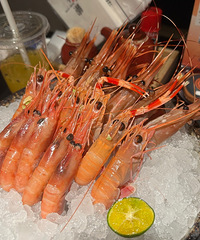 �����Թ�����Ϻ������ϲ����Ȱ�㲻Ҫ����