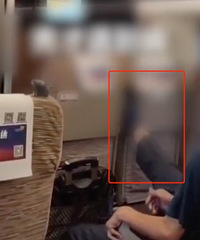 1����7���ߣ���������һĻ���ѳ���