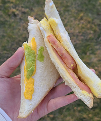 �������ˡ�������թƭ����������������