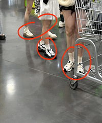 ���ִ�Ҷ�����������ѽ��