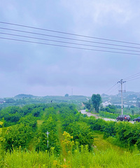 9.9԰ԵķƷ̫˰ɣ