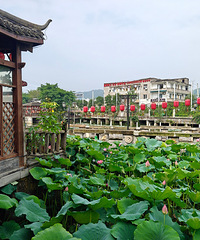 ��ɽ�������ɻ�ɽׯ�ɻ�����