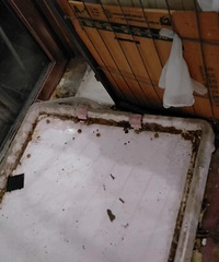 ��ĸ�����ú���������