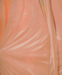 ������ֵ���򡿷�����е�ֺ���Ĥ5Ƭ24�����ݷ��ڿ�3��59