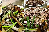 ���������ġ����տ����ӡ����˹ݣ�ζ��������