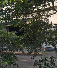 ���������������˹���ͣ������Ա���ĳ�����������ͣ�ò���