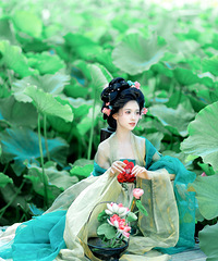 ���ĺɻ������ֻ�к�Ҷ������ĵ�һ��ɻ�д��