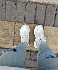 Ͽٯ˫˶Ь̫ʺˣ۸񻹲