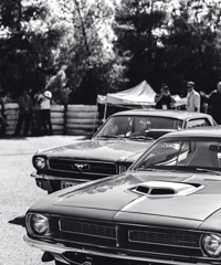 һ�����������Կ��ܾã�Ϊʲô��Ҷ������ڻ�����