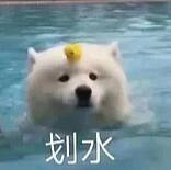 һ˵˵AppleʲôƷߣ