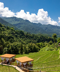 ����ɽҰ�ľ�������¶Ӫ�أ����տ�ˣϿ��Ư������ˬ����