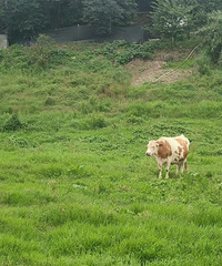 һ롰¶Ӫƺ˵˵Щװѡ