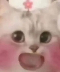 ϲ����ǰ���ѵĺ����������ѵ��������ж������