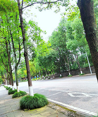 ��������Σ��ι۰׺���ˮ�²���ݣ��е��ź������������Ѵ��