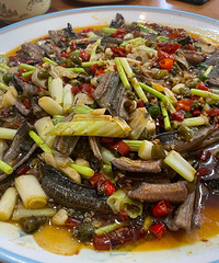 �����ר���ݽ����Ϲ��ӣ��ݽ����㿪θ���¾�