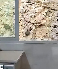 Ů��չʾ�Լҡ�ˮ�������������������峺��ɽȪˮ