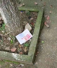 ·�ϵ���100��Ǯ���ò��ü�