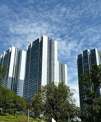 ��¥����״������ʫ