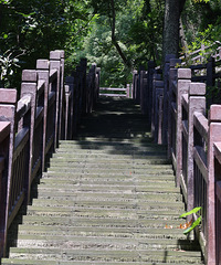 �Դ��յ��ĺ�ɫͽ��·�ߣ��������ǣ����ܿ�����Ȫ12��