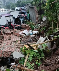 ����󣬾�����һС����Χǽ��Ƭ̮����һЩ˽�ҳ�����