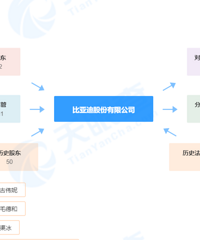 ����׼����Ʒ��-BYD���׸�����BYD����