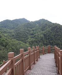 ������ת���ϡ�����ɽ�������ʺ��������ż���ɽ��