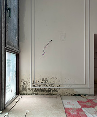 17Ӣ650ƽNεķˮһ©