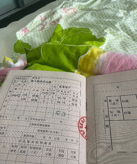 ���ں����佭���ϴ�����