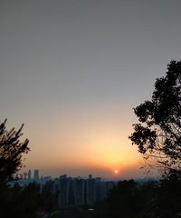 ɽ����ɽ�����������ҹ��