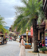 â�в�æ��������â����������