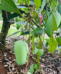 �������º꣬�¶����ˣ�����ḻ��·�߾��ܼ��ȣ�̫ˬ�˰�