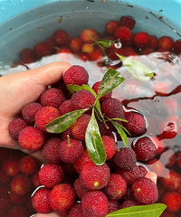 93��155CM�Ļ��������ʦ���飬ֻ�Ҷ�����ʿ