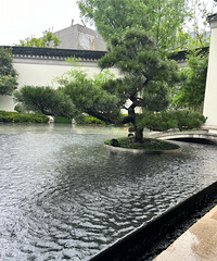 �������һ������������ʽ԰�ֵ��ִ�������