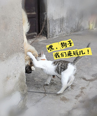 ���ְֵ�һ�ζ���������ͻȻ���ܵ��˸�ĸ�Ĺ¶�