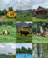 ͩ����2����Ѿ���ֵ��һȥ���ɿ�������Բ����ɽ�����Ӵ���ţ