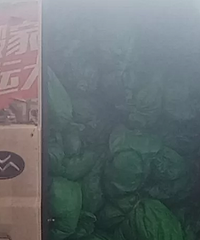 ���˸��綯����������ʦ���糵���ͳ������㲻����˵������������