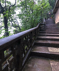 ��ͽ�ͺ�nice��ɽ����ɽ���֣��������¡��Ŀ�����