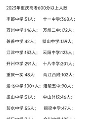 2023年重庆中学高考600分以上人数