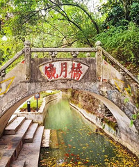 �������Ÿ���ȥ����������;�����ȱ�ע�������ȥ